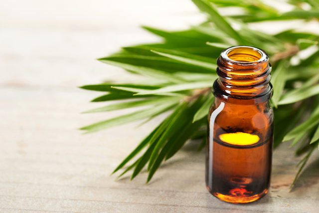 tea tree oil